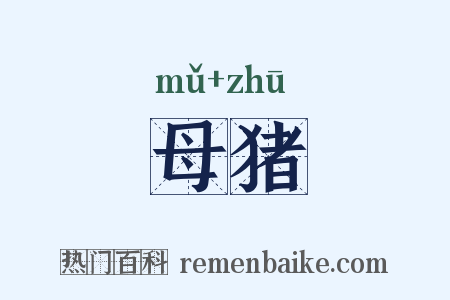 母猪是什么意思的图片